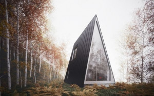 frame house in the woods