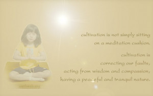 Cultivation is not simply sitting on a meditation cushion. Cultivation ...