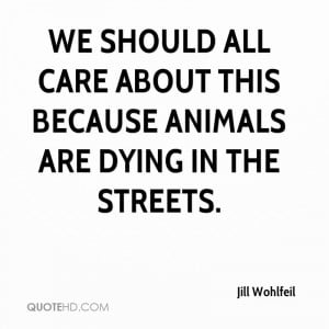 ... should all care about this because animals are dying in the streets