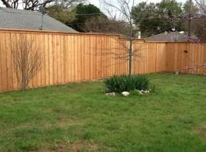 Fence Staining Portfolio - Call for Free quotes on Fence Staining in ...