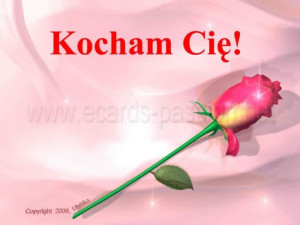 love you in polish love you mr arrogant forever