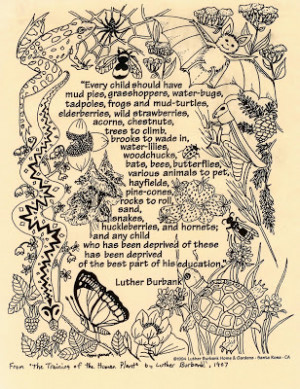 The Best Natural Toys are Nature Itself!