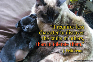 Tolerate Quotes