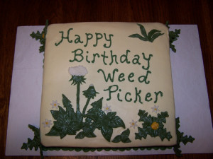 marijuana birthday cake