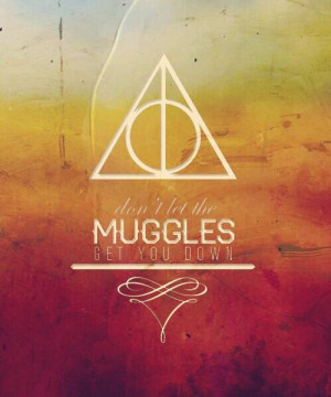 Don't let the muggles get you down....