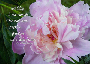 Gardening quotes