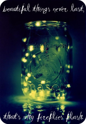 beautiful things never last that s why fireflies flash fireflies by ...