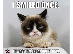 Twitter Reacts to Grumpy Cat's Worst Christmas Ever| Around the Web ...