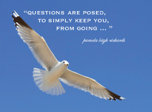 White Dove with Quotes