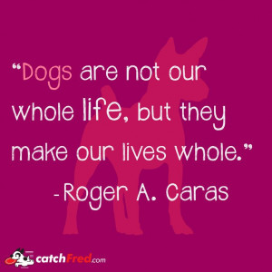 Dog #Quotes #DogQuotes #Dogs