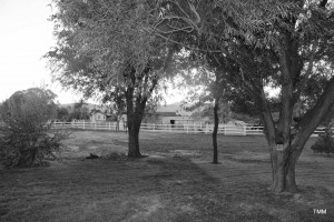 Empty Swing