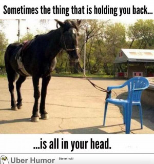 Inspirational Quotes: Quote of the day