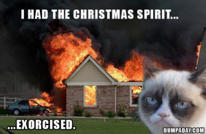 grumpy cat, i had the christmas spirit exorcised, funny grumpy cat