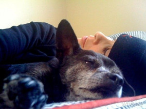 Click here to read Sarah Silverman's amazing eulogy for her dog, Duck.
