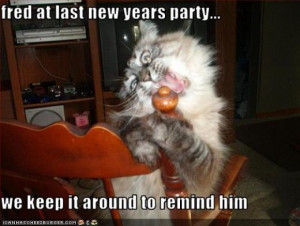 Happy New Year! Top 5 New Years Eve Themed LOLcats | Funny Cat ...