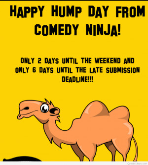Funny happy hump day quotes, memes, sayings 2015 2016