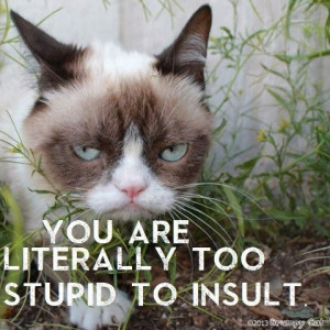 Join Grumpy Cat. for more :) Animal Memes.