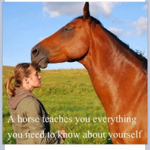 horse techies you everything you need to know about yourself. For ...