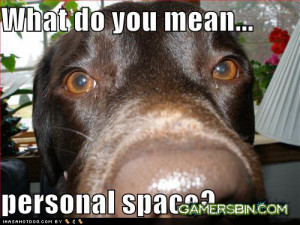 Super Saturday Th Chat Thread Funny Dog Pictures Personal Space