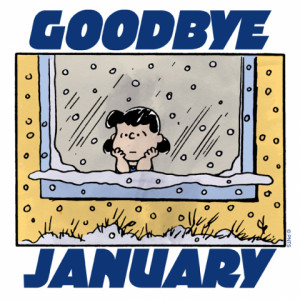Goodbye January Hello February 2015 Images