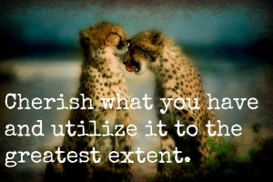 ... You Have Quotes http://www.meredo.com/image/5489/cherish-what-you-have