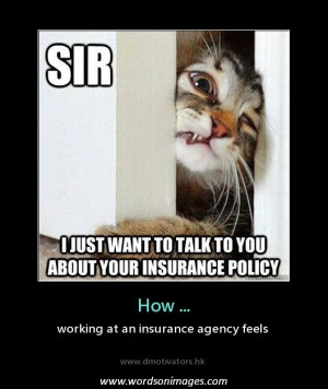 Insurance agent quotes