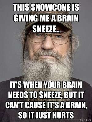 Facts Jack, Si Quote, Funny Ducks Dynasty Quotes, Brain Freeze ...