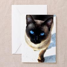 Siamese cat - Greeting Cards (Pk of 20) for