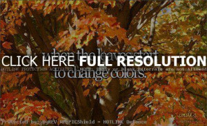 Autumn Quotes and Sayings