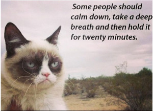 Grumpy Cat being funny lol.