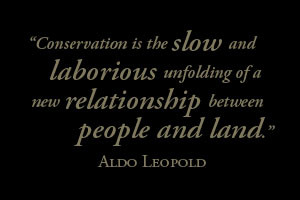 aldo leopold quote environmental quotes from silentsprings