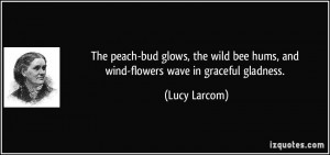 ... bee hums, and wind-flowers wave in graceful gladness. - Lucy Larcom