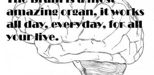 Brain Quotes