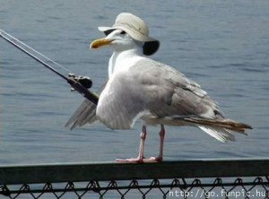 funny fishing pictures