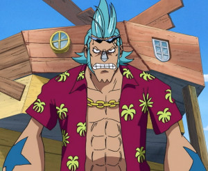 Franky Anime Pre Timeskip Infobox