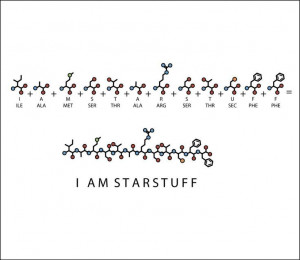 Carl Sagan tattoo idea. 'I am starstuff' spelled out in amino acid ...