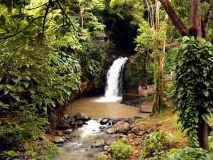 ... quotes found use search from below to search another free quotes