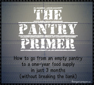 The Pantry Primer: How to Build a One Year Food Supply in Three Months