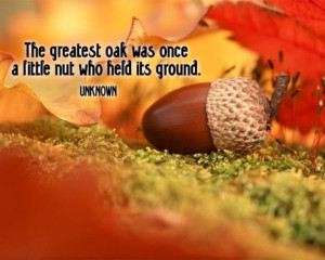 The greatest oak was once a little nut who held its ground.