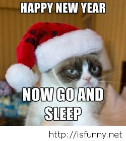 Grumpy cat meme about new year 2015 funny picture