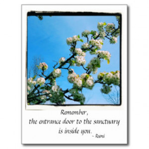 Wise Quotes Spring Floral Post Cards