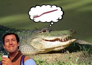 Bobby Boucher My Mama says that alligators are ornery because they
