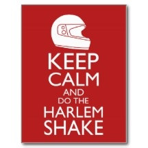 do the harlem shake lol