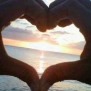 Add a Quote Top Quotes New Random