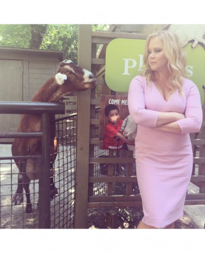 Amy Schumer's best EVER quotes