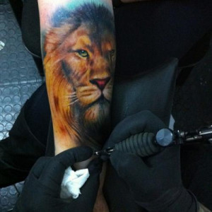 narnia aslan tattoos tattoos tattoo designs tattoo pictures tribal ...