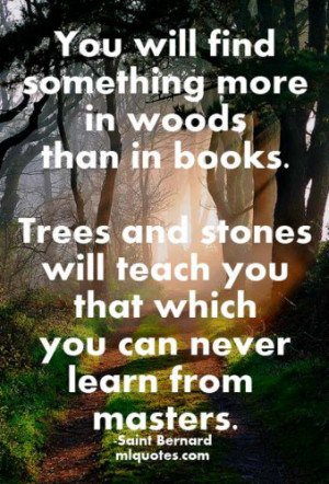 woods and stones - saint bernard quote