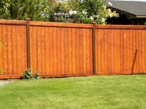 Simple. Our speciality is exclusively in fence staining!