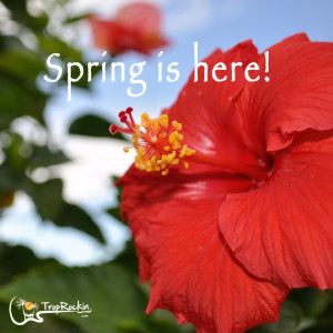 So happy spring is here!