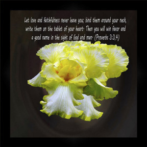 Easter Bible Quotes - Love and Faithfulness (Proverbs 3-3,4) - Framed ...